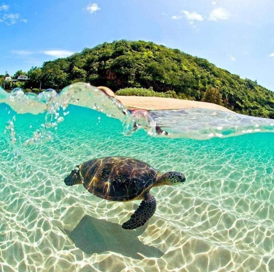 Refugio Prumirim Villagio Ubatuba Eksteriør bilde